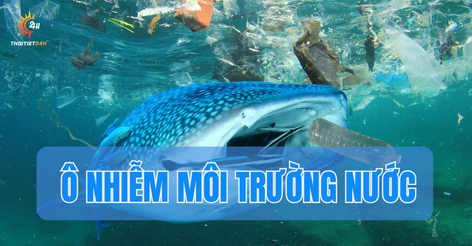 Ô nhiễm môi trường nước là gì? Thực trạng đáng báo động ở Việt Nam